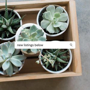 🌿NEW! NEW! NEW!🌿